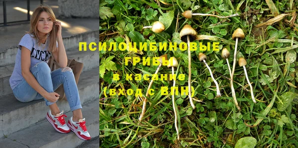 apvp Беломорск