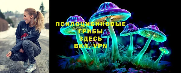 apvp Беломорск