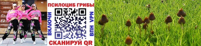 кракен онион  Ульяновск  Псилоцибиновые грибы Cubensis 